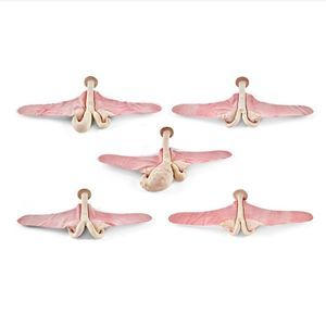 modelo anatômico uterino