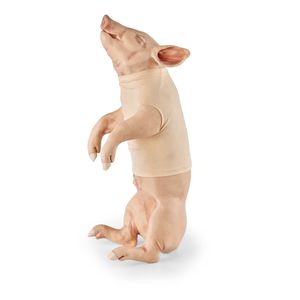 simulador para punção venosa