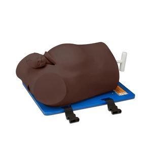 simulador para treinamento 1