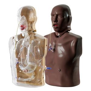 simulador de nutrição 1