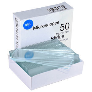 lâmina de microscópio 1
