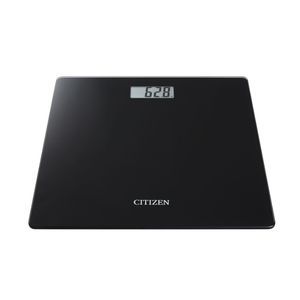 sistema de pesagem eletrônico 1