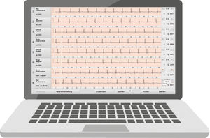 software para cinesioterapia