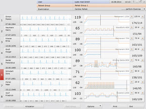 software para cinesioterapia