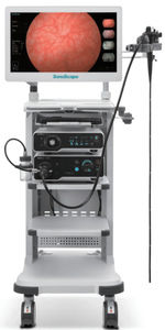 sistema de endoscopia
