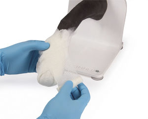 simulador para tratamentos veterinários