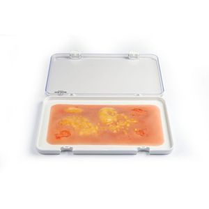 simulador para treinamento 1