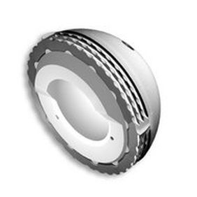 prótese acetabular não cimentada