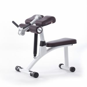 banco de musculação Larry Scott
