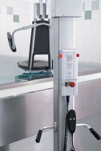 elevador de transferência elétrico