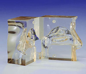 modelo anatômico nasal