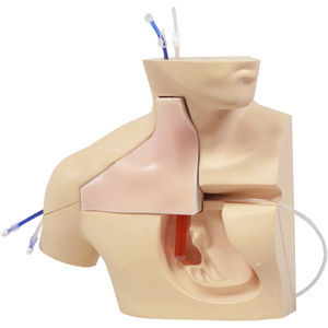 simulador para cateterismo venoso central