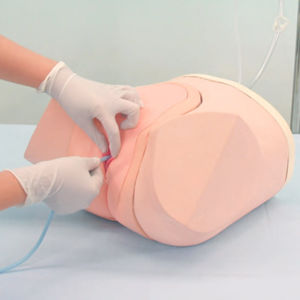 simulador para procedimentos de urologia
