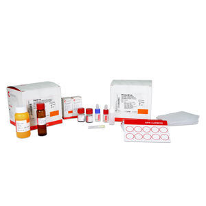 kit de teste para doenças infecciosas