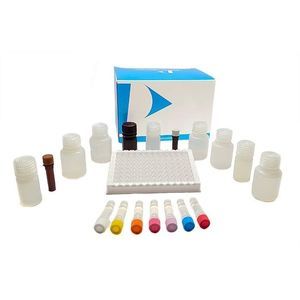 kit de teste para intolerâncias alimentares 1