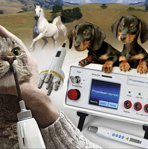 laser para acupuntura veterinária