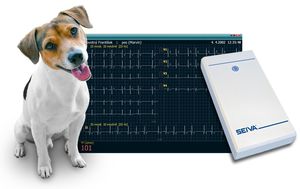 sistema de ECG veterinário de 12 canais