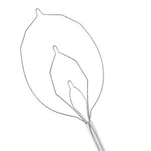 cesta extratora polipectomia