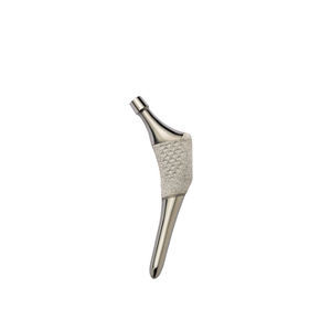 haste femoral cimentada 1