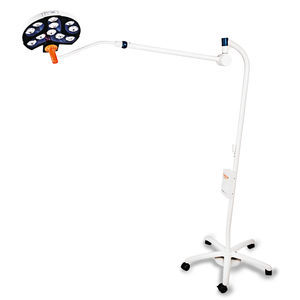 foco clínico de emergência 1