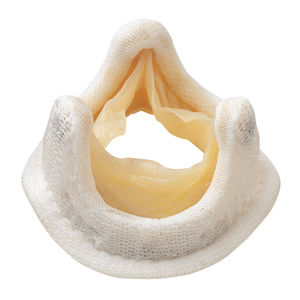bioprótese valvar aórtica / mitral