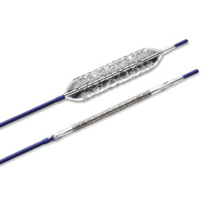 stent biliar