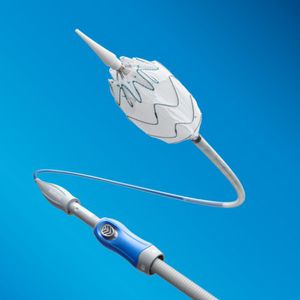 stent-enxerto de aorta torácica