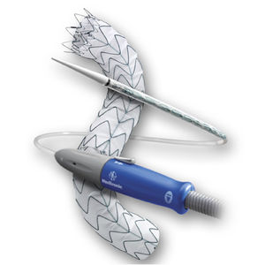 stent-enxerto de aorta torácica / em nitinol
