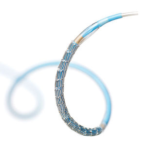 stent metálico