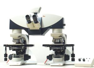 microscópio óptico