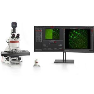 microscópio de fluorescência