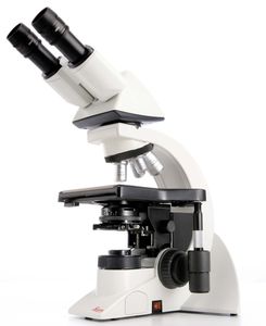 microscópio óptico