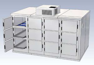 câmara mortuária 12 corpos