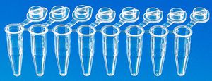 tubo de PCR