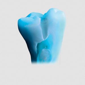material dentário em cerâmica