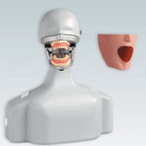 simulador de paciente para procedimentos odontológicos 1