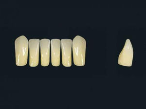 prótese dentária em polímero acrílico 1