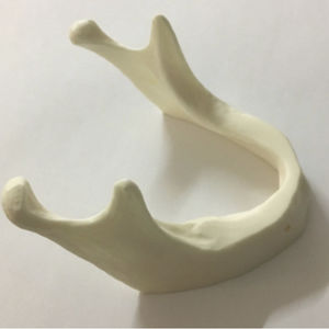 modelo de mandíbula