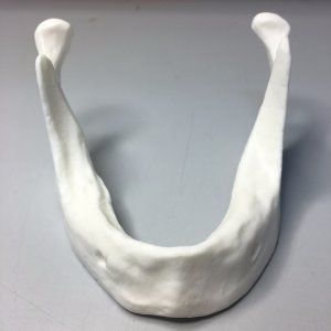 modelo de mandíbula