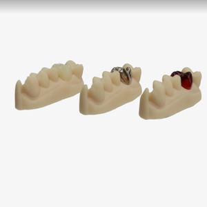 material dentário em resina acrílica