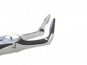 fórceps odontológicos para dentes do ciso