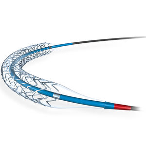 stent coronário