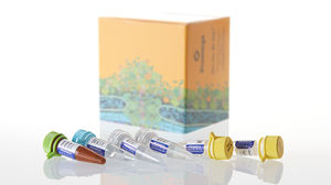 kit de reagentes solução tampão