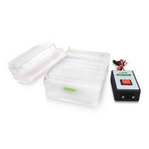 sistema de eletroforese em gel de agarose