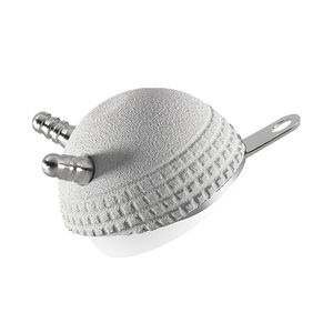 prótese acetabular não cimentada