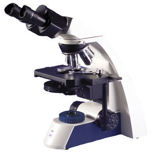microscópio binocular