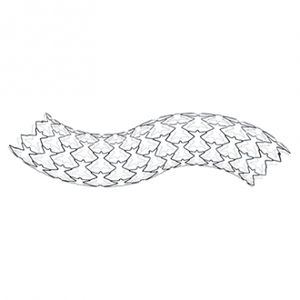 stent de artéria ilíaca 1