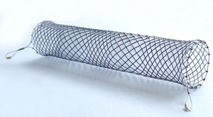 stent esofágico