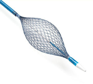 cateter para colocação de stent