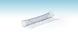 stent biliar 1